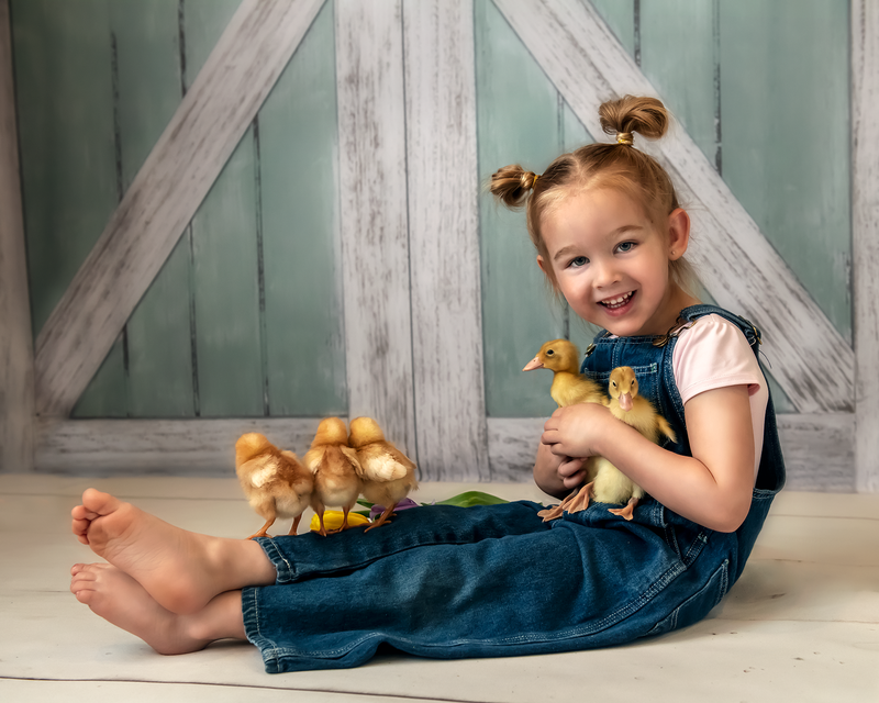 Little girl with chicks and ducklings  Columbia Ca studio session