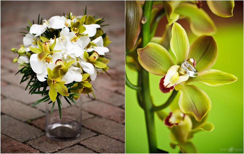 Green-and-White-Orchid-Wedding-Decor-Ritz-Carlton-Denver-Colorado-Wedding-Venue