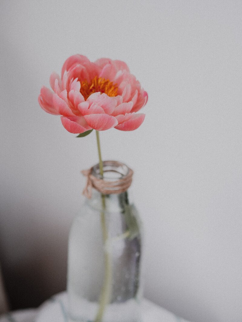 Pink flower in a clear jar