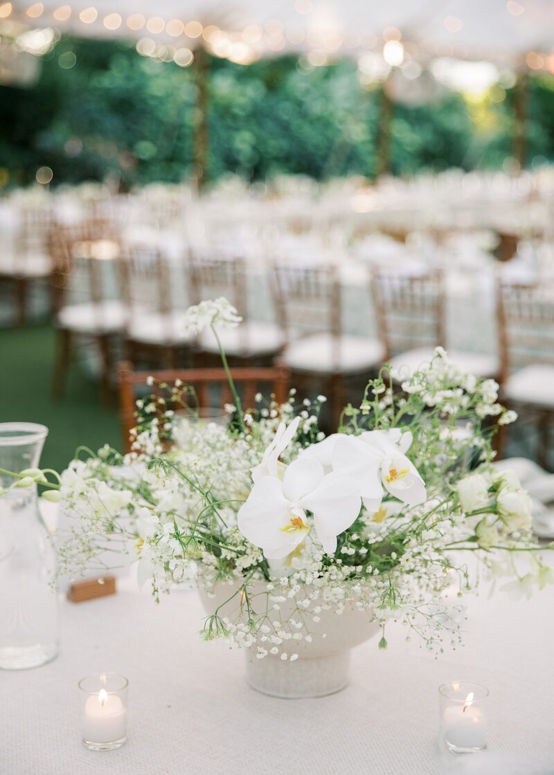 Allison Dash Photography Aaron and Kedron-590