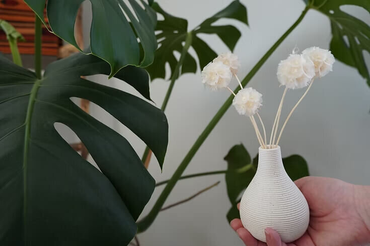 Preserved Scabiosa Bunch (6)