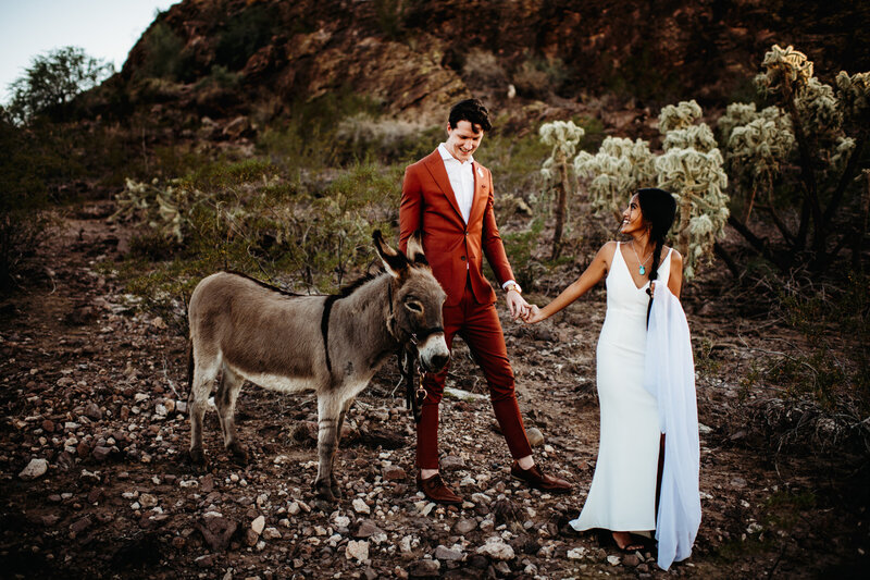 Bride and groom walking with a donkey