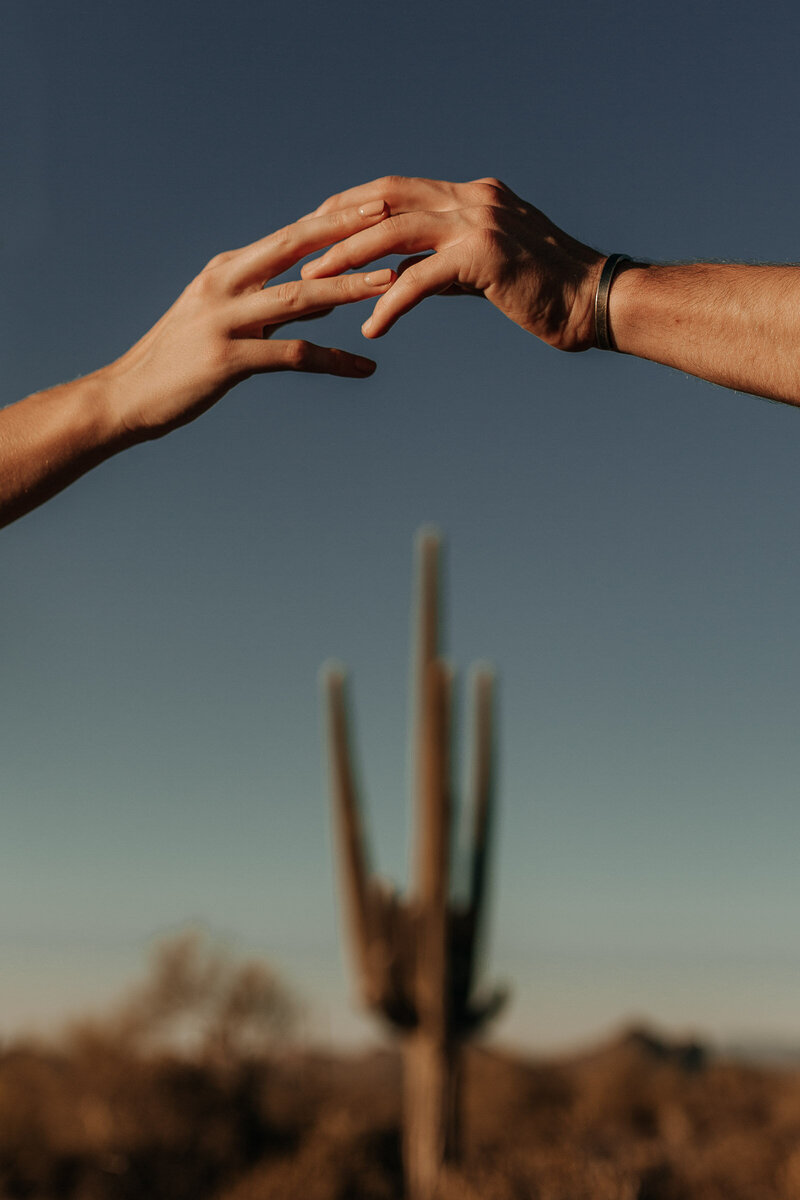 holding hands above saguaro cactus in arizona