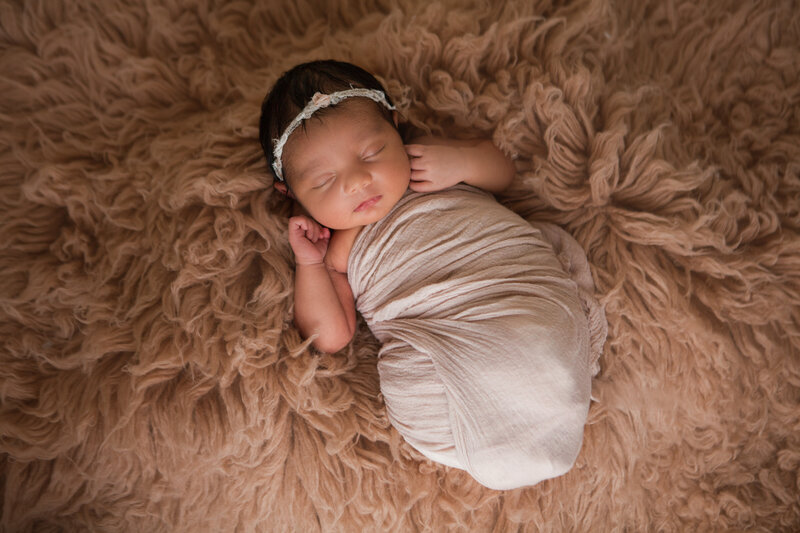 Sweet Newborn Baby Girl Snuggled in Fuzzy Blanket