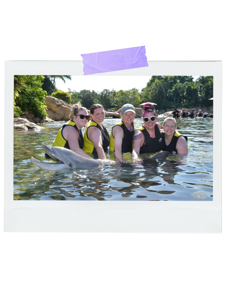 BBA at Discovery Cove/Dolphins