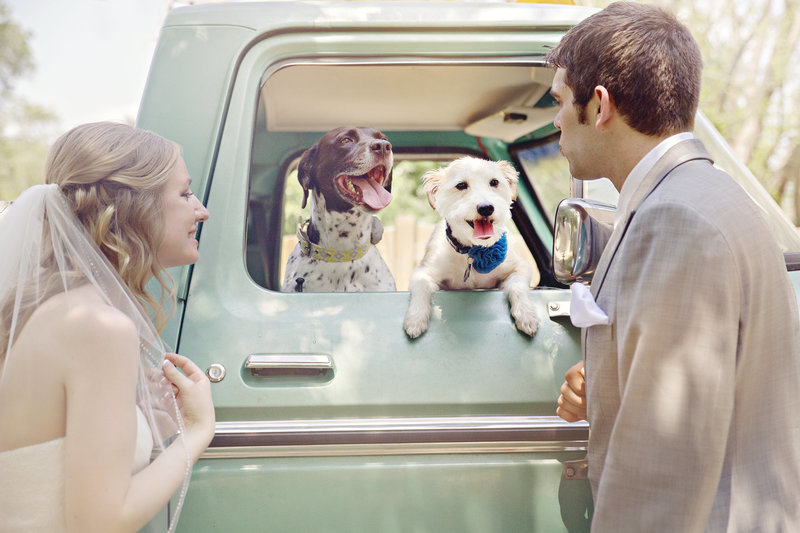 jjwpreview-15_wedding