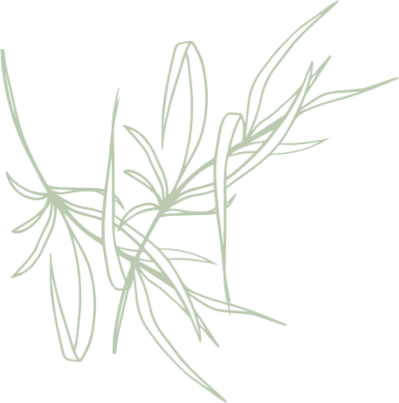 tropical plat lineart