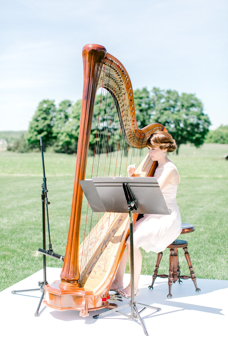 harp-wedding