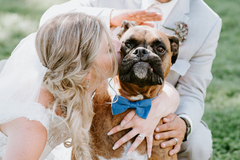 Bride kissing her dog during her wedding in the Okanagan