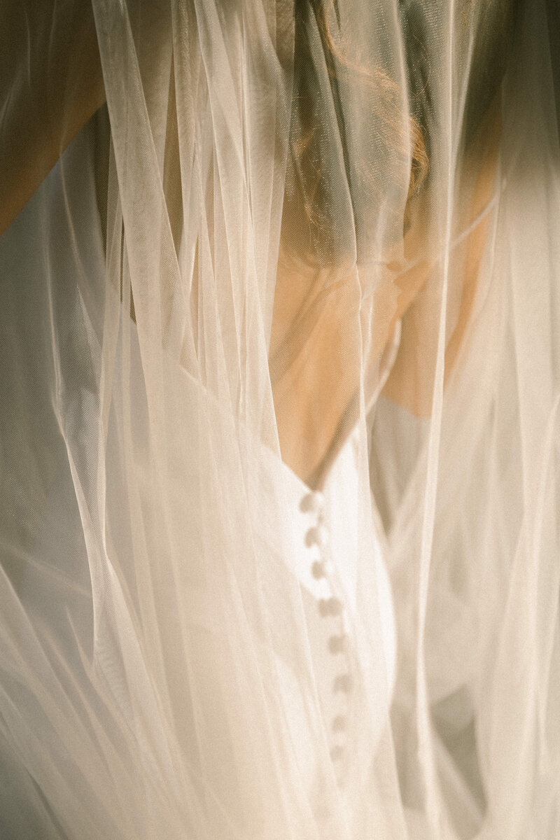 brides veil covering her dress from behind