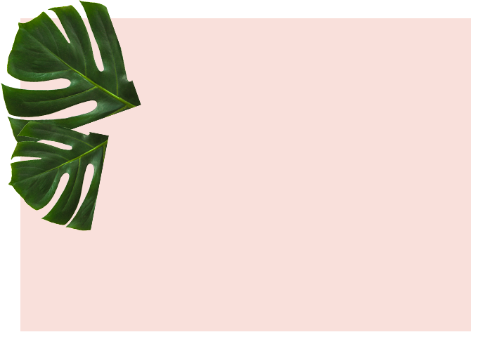 pink background with green leaves