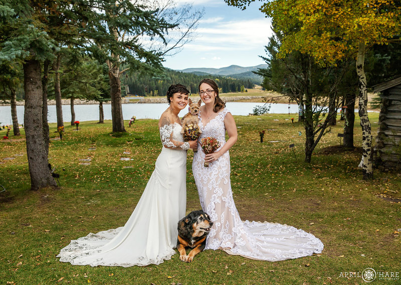 Cute same sex wedding with dogs in Colorado