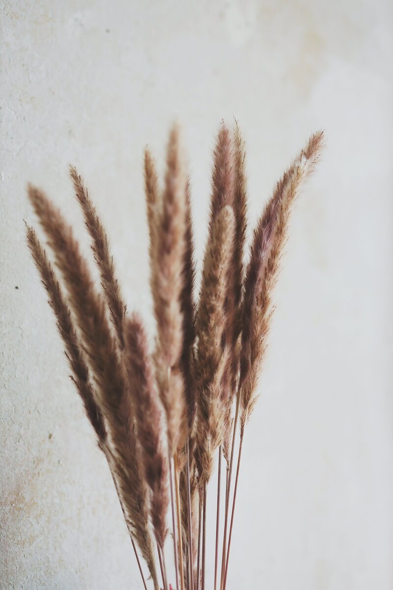 katja-vogt-0L8UfIxKMM0-unsplash