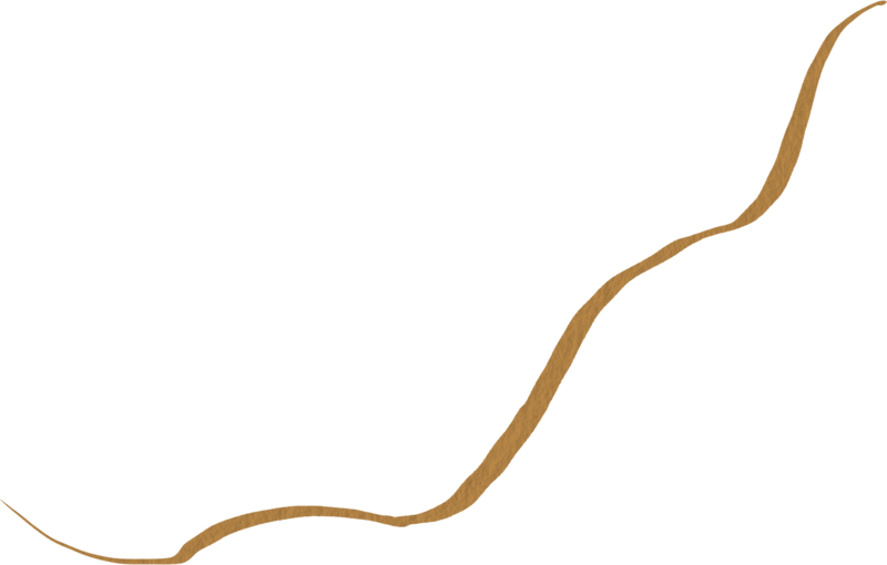 Shape 24