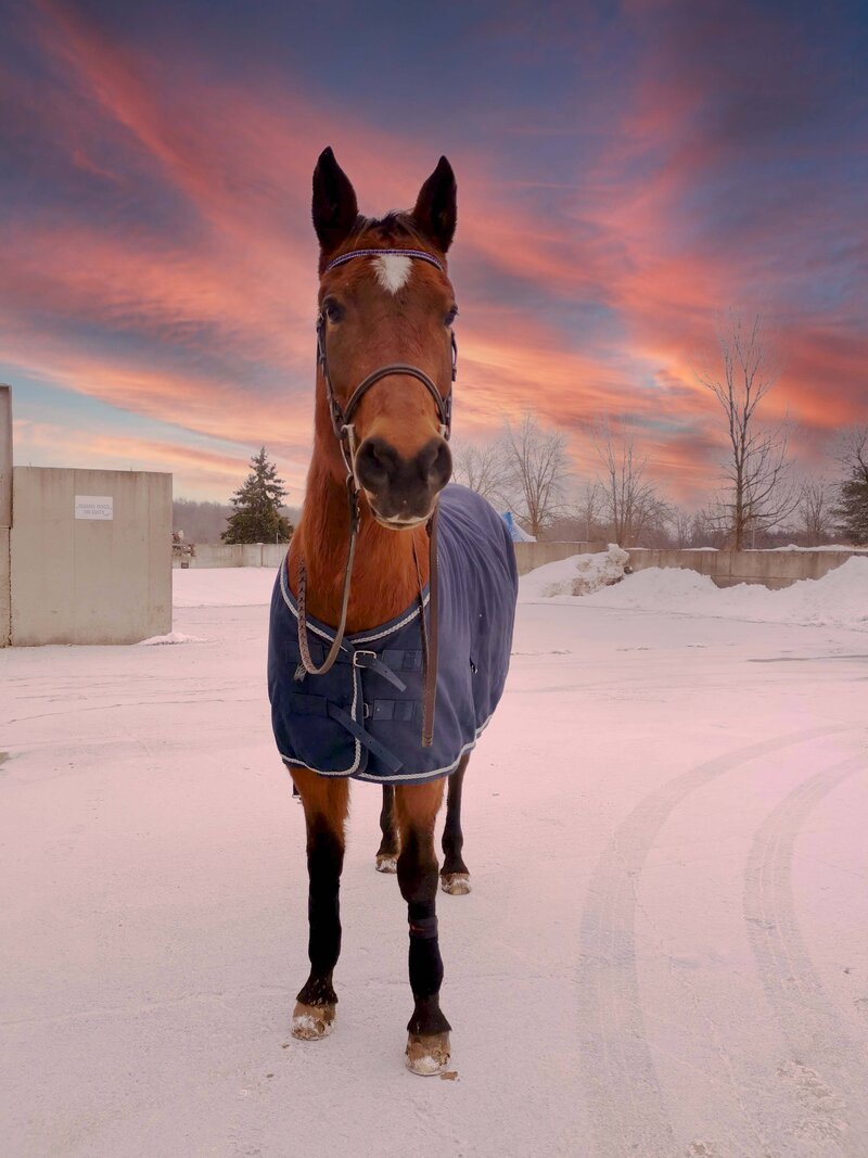 stella + winter sky (1)