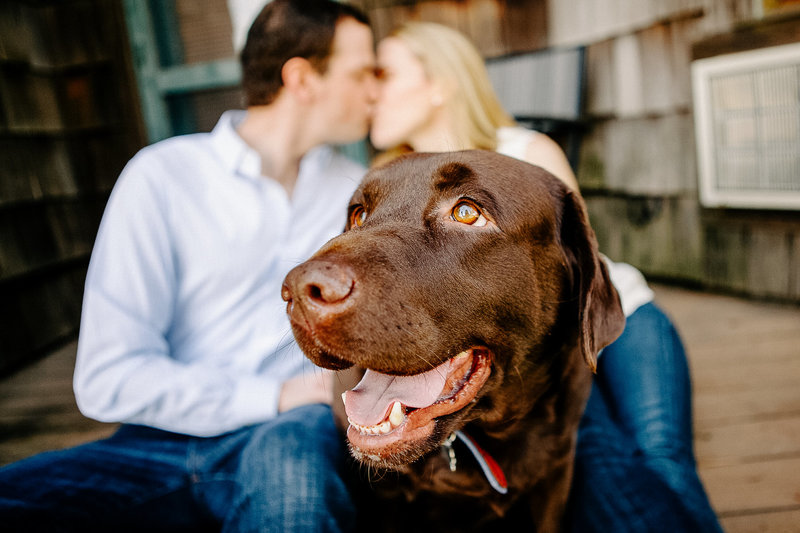 Engagement photograph in Napa with dog