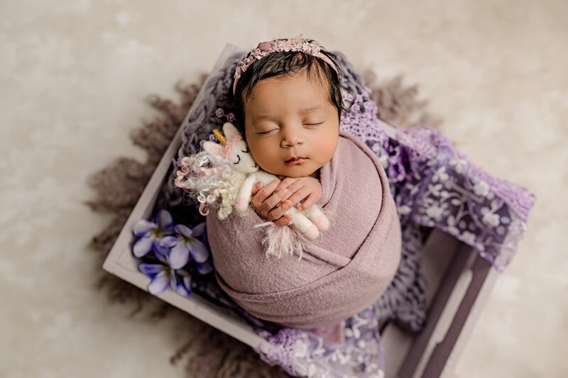 Newborn baby holds unicorn as she is wrapped in a purple wrap and placed in a matching crate