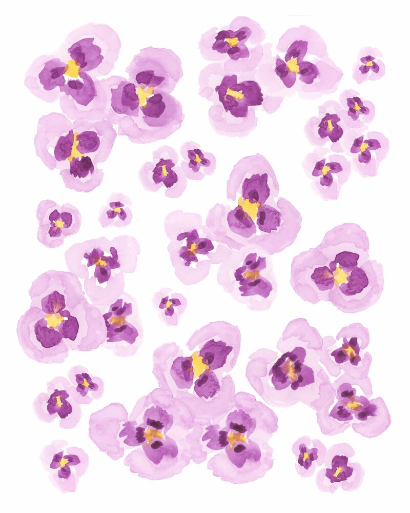 Pansies pattern no background _v3