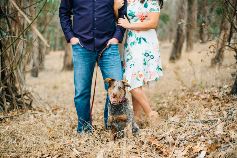 wedding photographers and their puppy