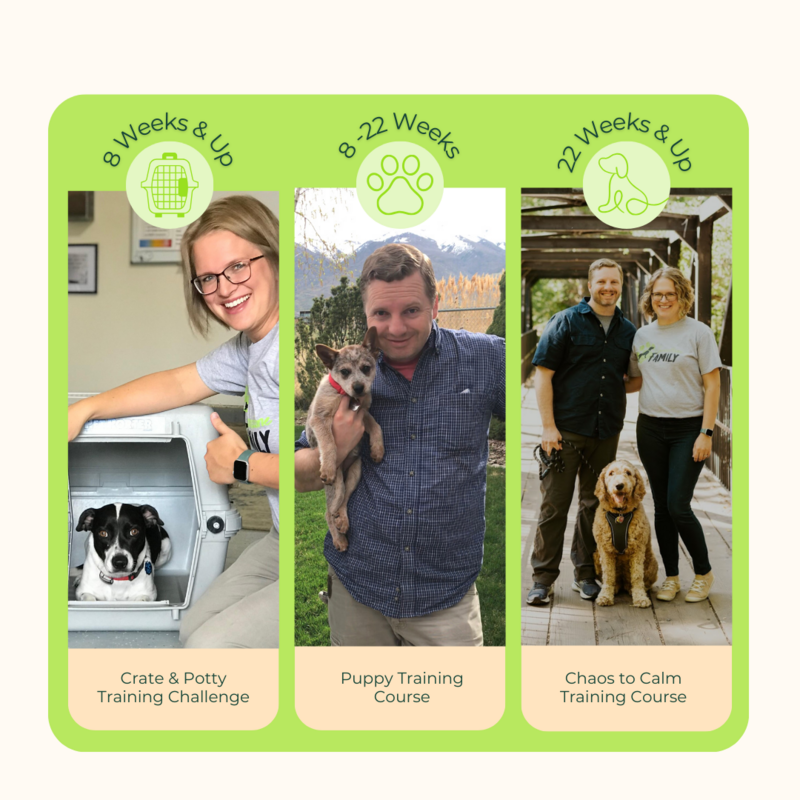 Image of Cornerstone Dog Training's three online courses | Cornerstone Dog Training