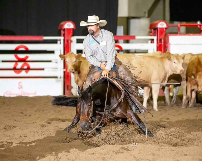 TR Tuff Boorey, a brown mare being ridden at a show