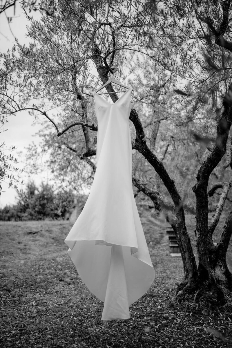 Elegant wedding dress hanging from an olive tree in a wedding in Tuscany