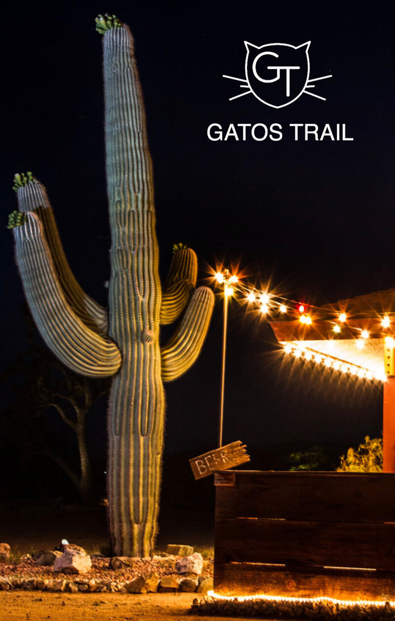 Branding Image Gatos Trail Recording Studio large cactus standing next to house with string of lights leading to it shining in the night