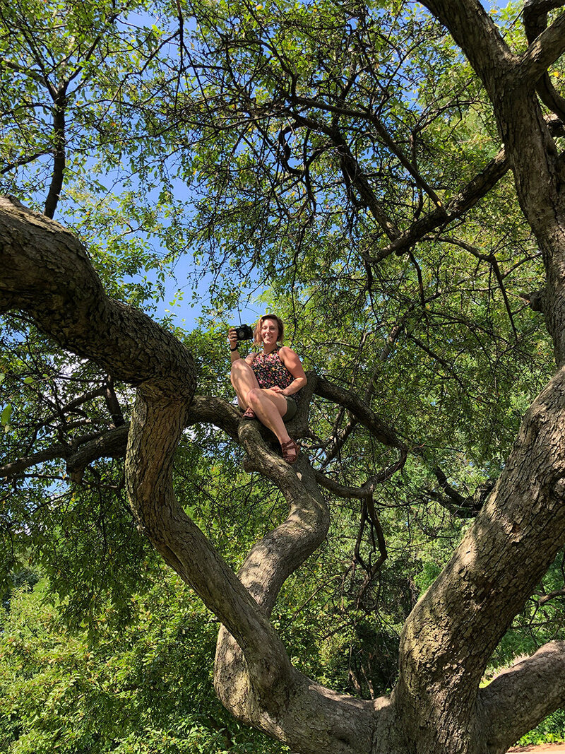 new-york-city-glorianna-picini-photographer-climbs-trees