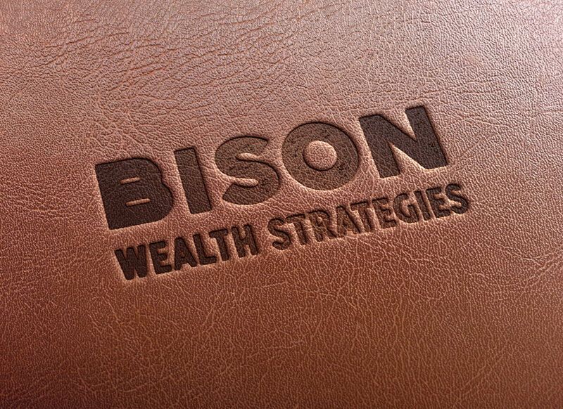 Bison_Leather Portfolio 1 (1)