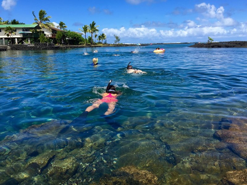 Students Snorkel in Hawaii on Day Off from 200 Hour YTT