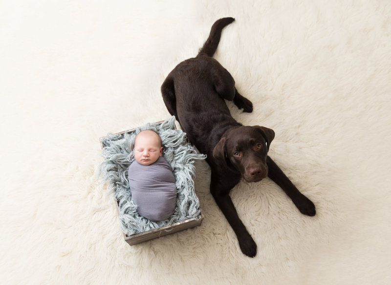 newborn boy with dog