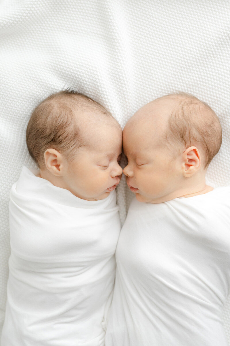 twin newborn photography alabama copy