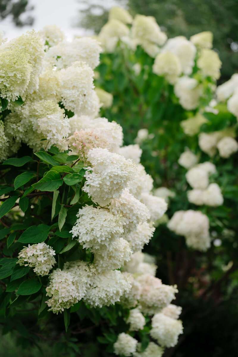 Groom holding bride's hands
