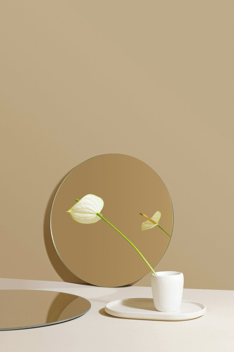 Plant with teacup