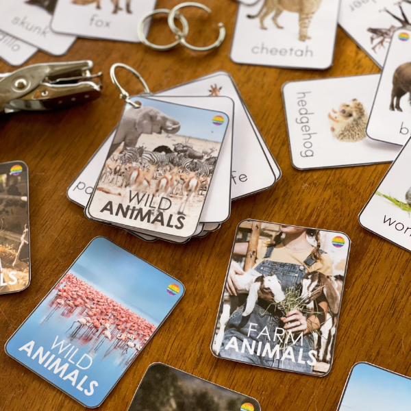 Animal Flash Cards Editable 2021