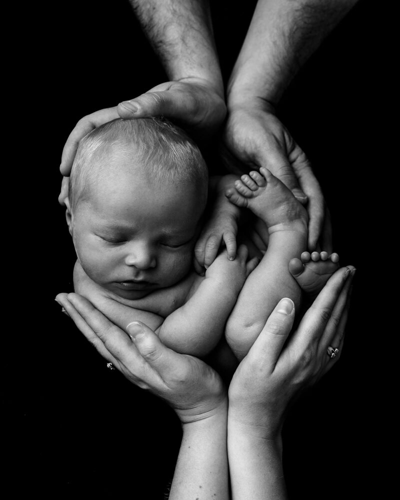 newborn between his parents hands, blak and white portrait