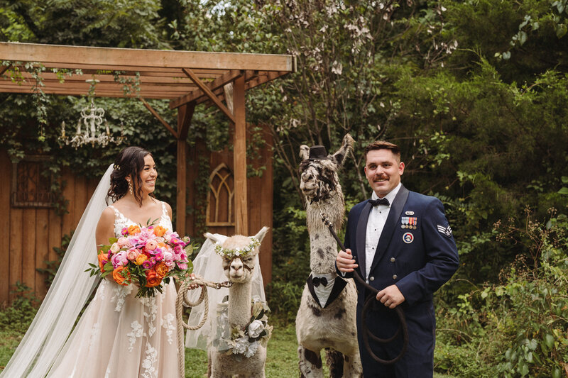 animal friendly wedding venue