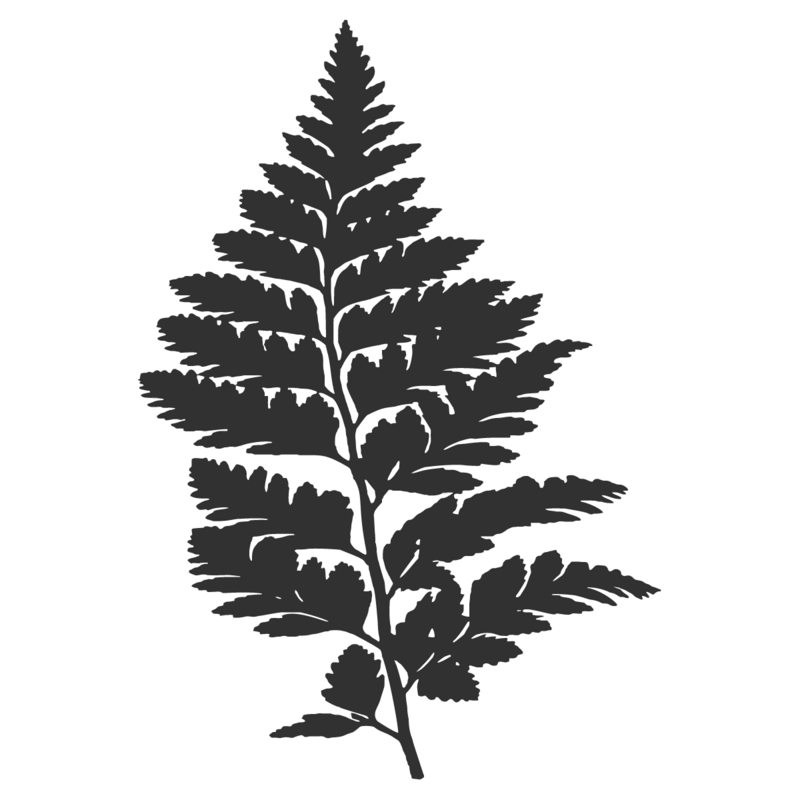 Fern in Buck Hollow Creative logo