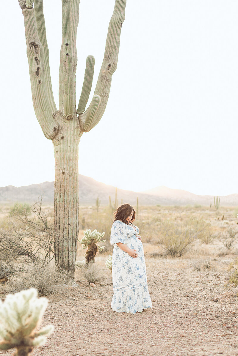 Phoenix desert maternity