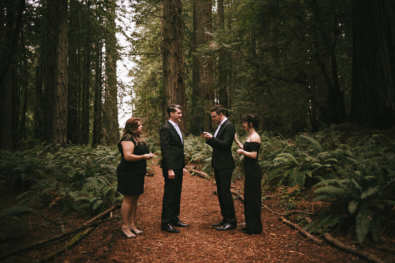 wedding party standing in forest