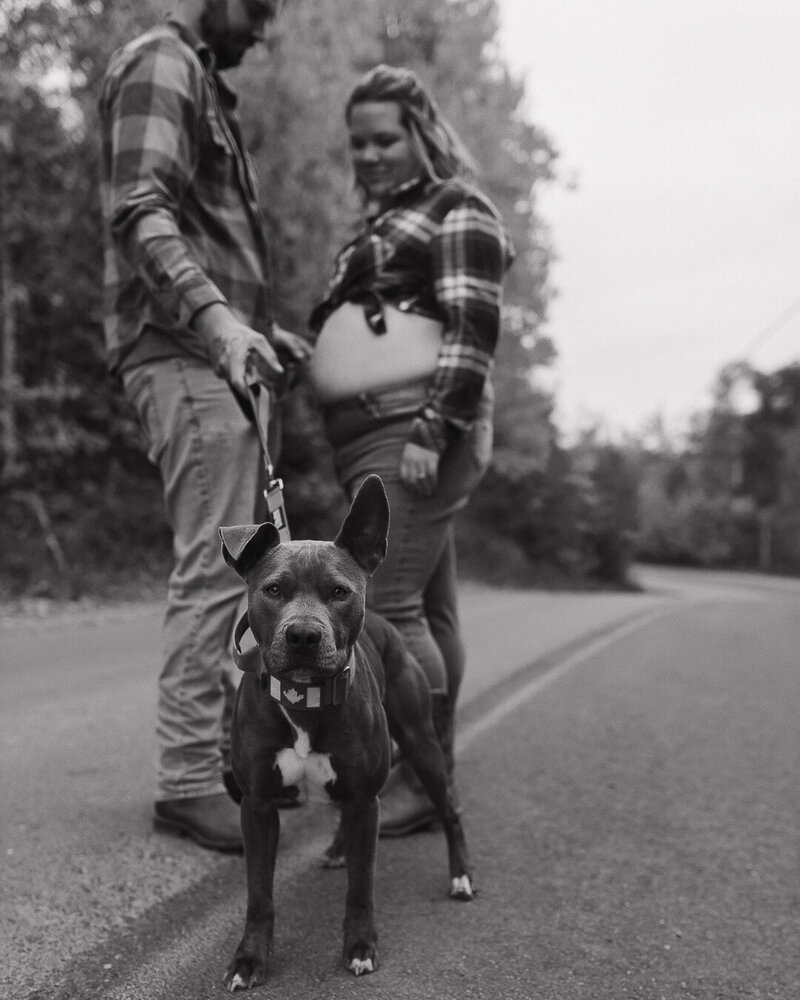 maternity-fall-session