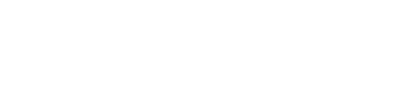 branding for dani austin