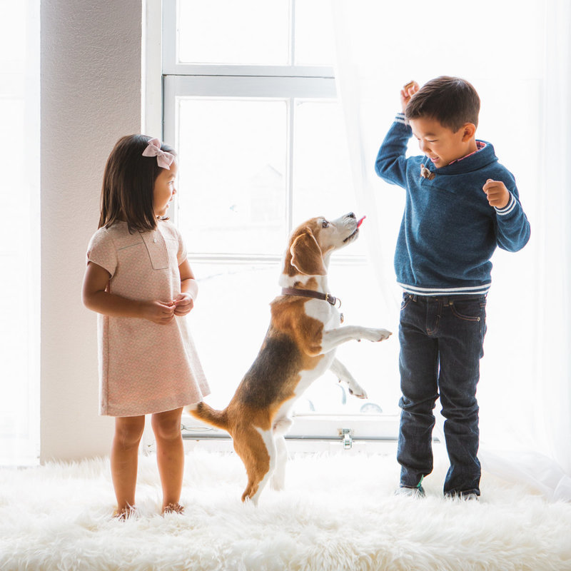 Two children and their dog at professional photography studio with dog in front of light and airy window