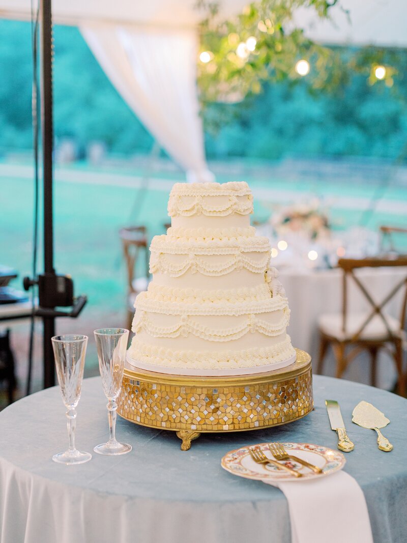 MLP-Morgan-Will-Gallison-Hall-Charlottesville-Wedding-Finals-1186