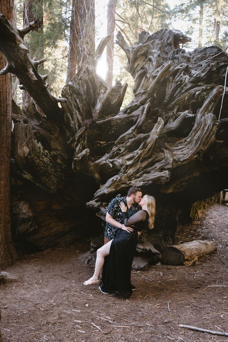 Sequoia National Park elopement Photographer3510