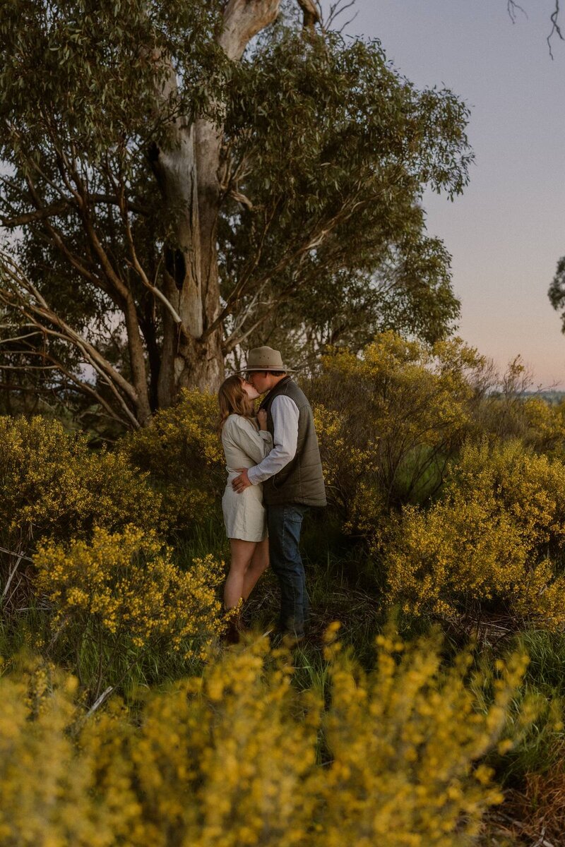 Engagement-style photo of a couple kissing in tall native shrubs during a sunset photoshoot in rural Australia.