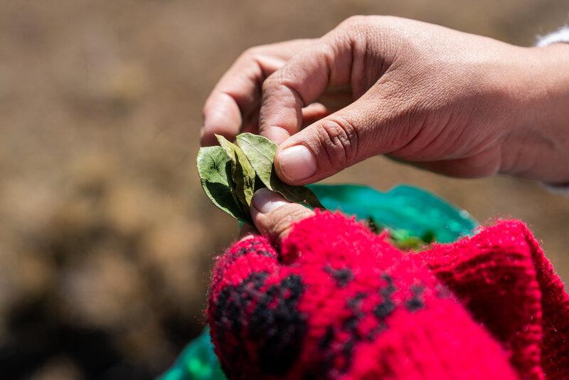 climbing_cholita_cecilia_details_hands_andes_bolivia
