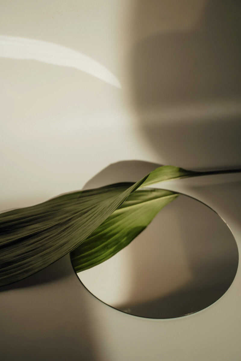 Plant with cup