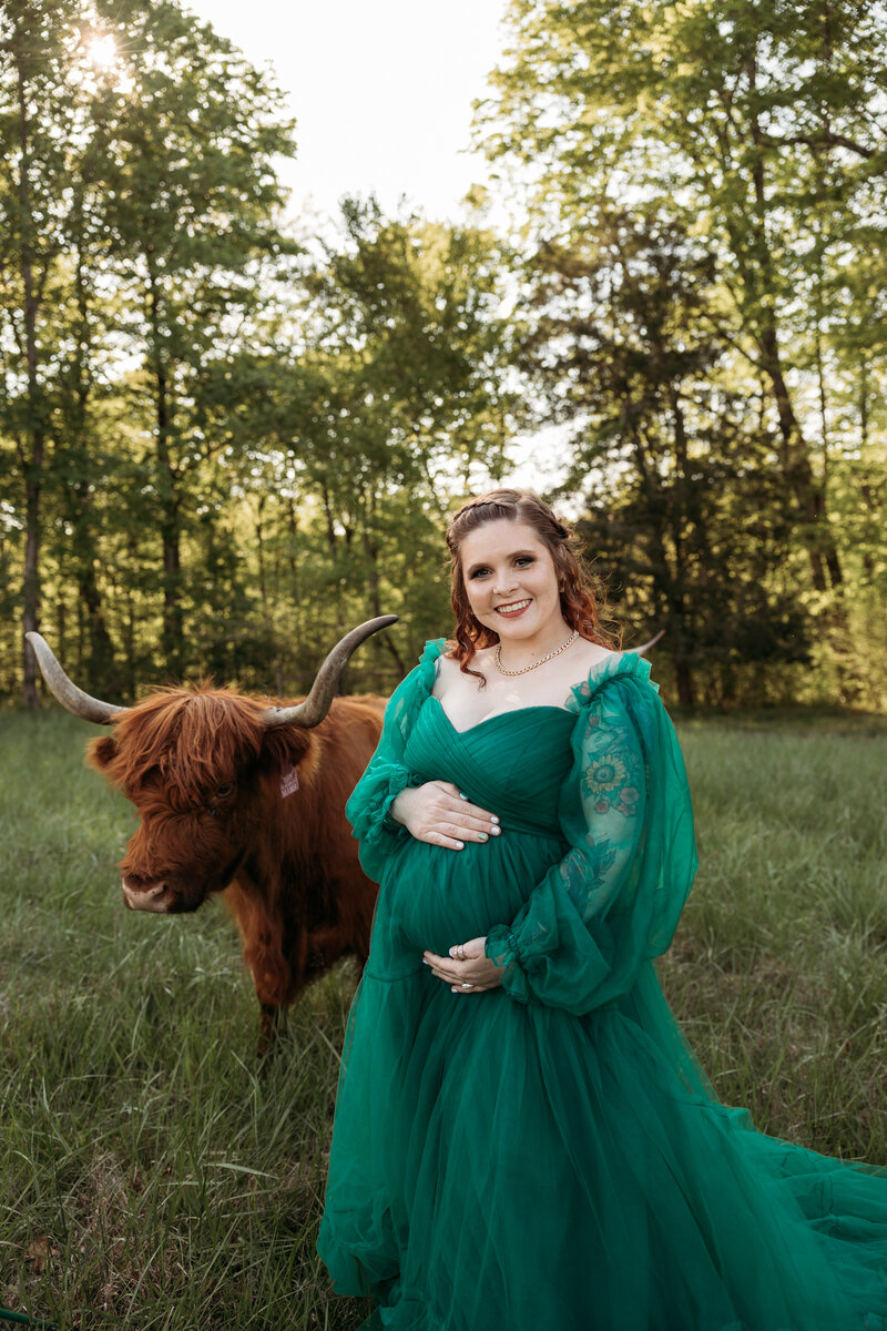maternity shoot with cow