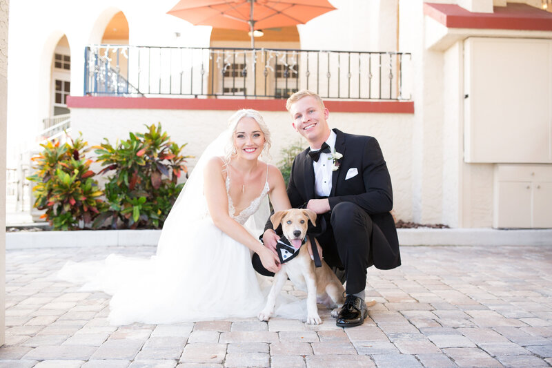 Dogs in wedding Florida